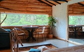 Cabaña en la calera el Pinar